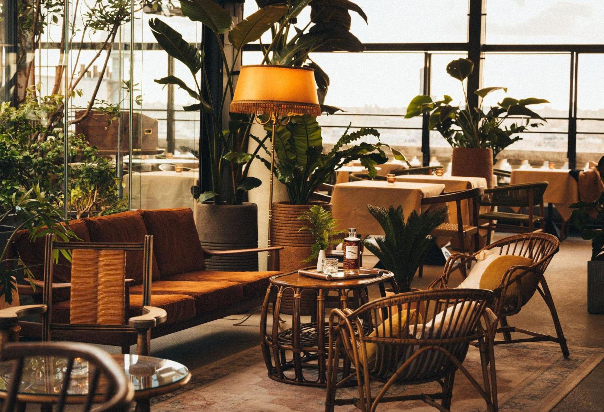 Terrass" Hotel Paris Dış mekan fotoğraf